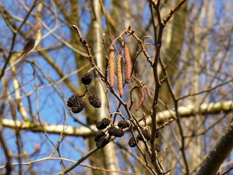 P1300150