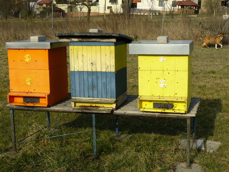 P1300271
