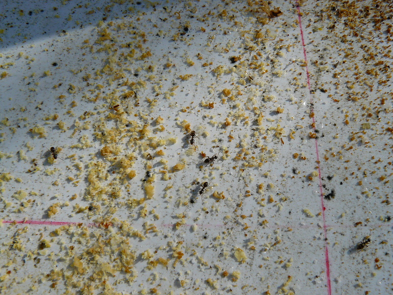 P1300458
