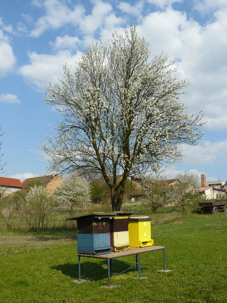 P1150166
