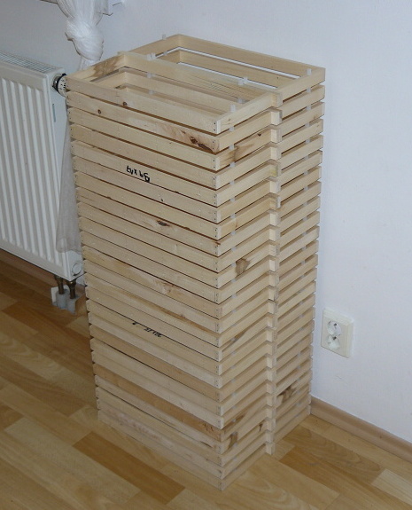 P1200199