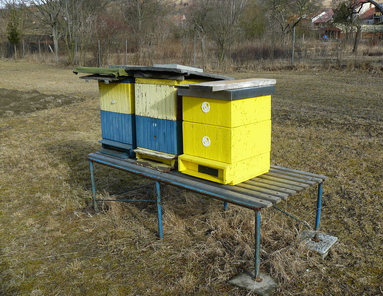 P1200452