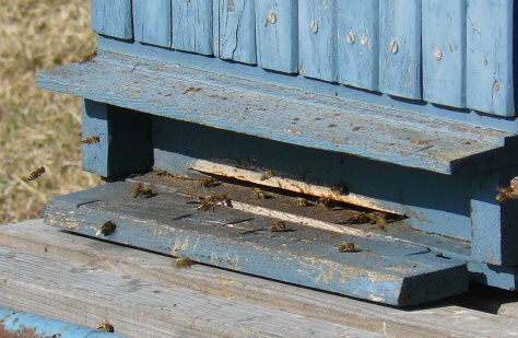 P1200453