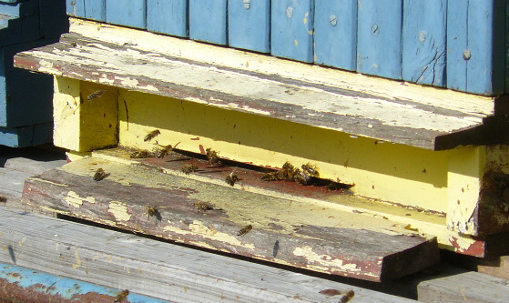 P1200454