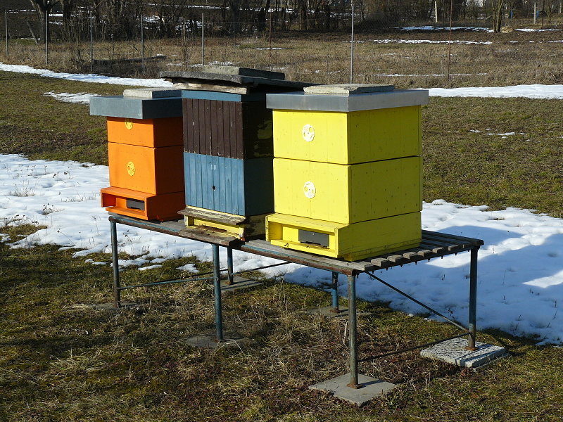P1250561