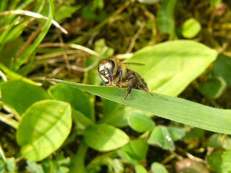 P1260133