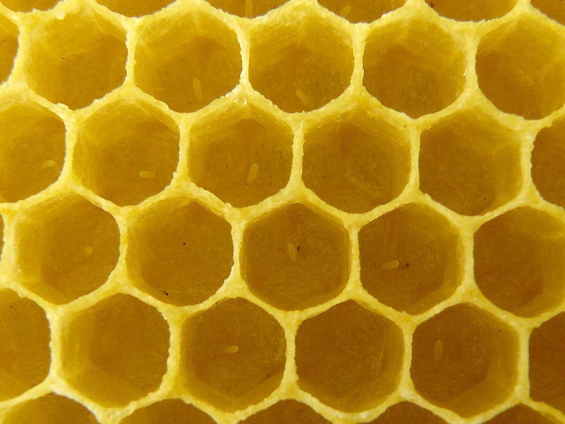P1260137